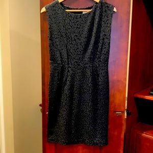 Black and Gray Loft Size 6P Dress